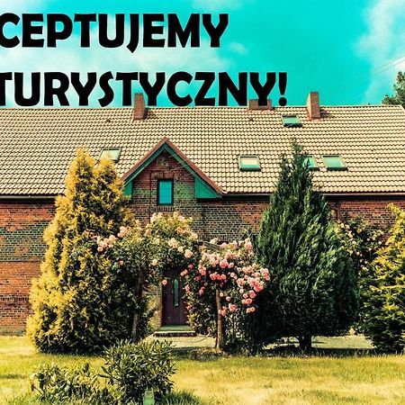 Chata Na Koncu Swiata Czaplin Maly Esterno foto