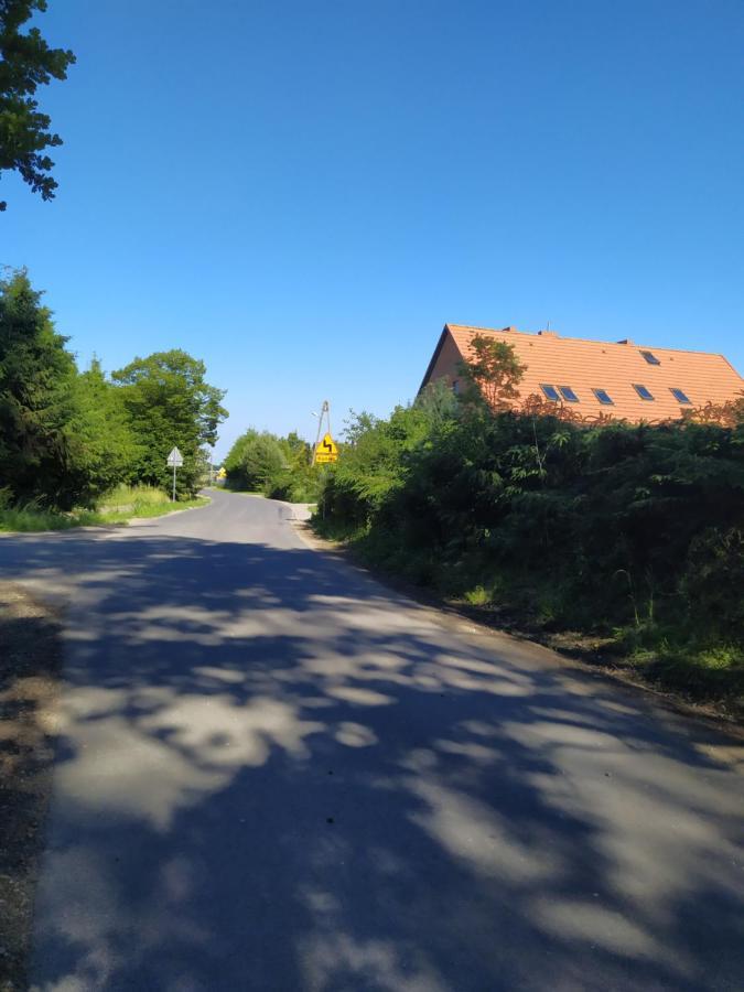 Chata Na Koncu Swiata Czaplin Maly Esterno foto