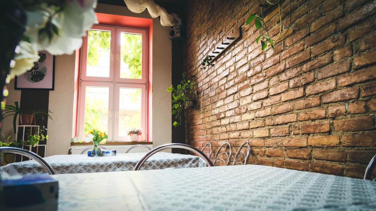 Chata Na Koncu Swiata Czaplin Maly Esterno foto
