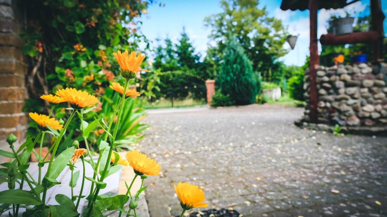 Chata Na Koncu Swiata Czaplin Maly Esterno foto
