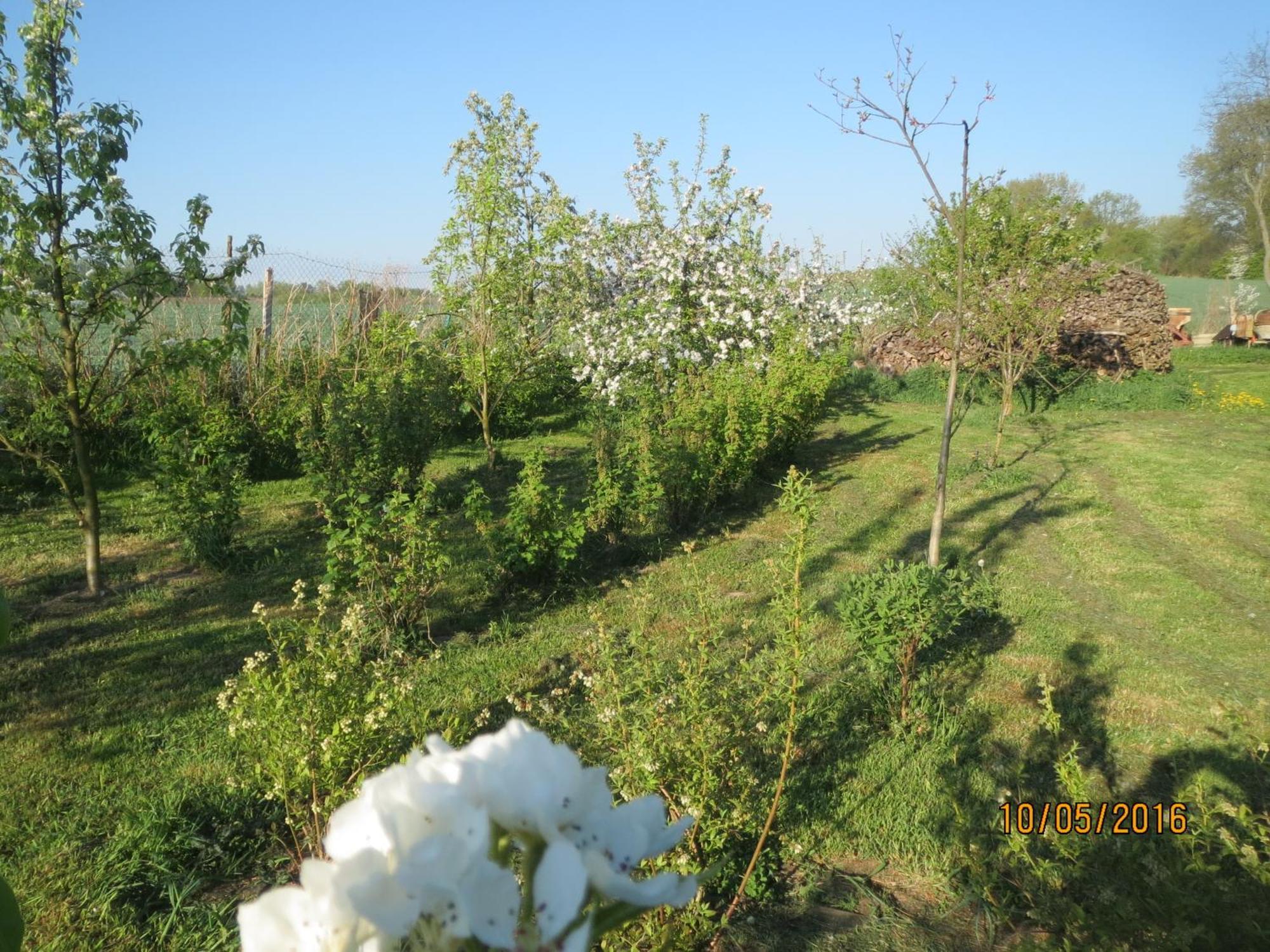Chata Na Koncu Swiata Czaplin Maly Esterno foto